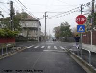 Imagine atasata: Muzicescu - 2015.11.08 - 14.jpg